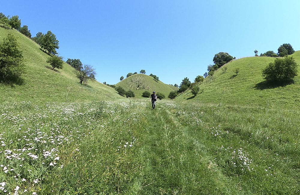 Zagajicka Brda - featured